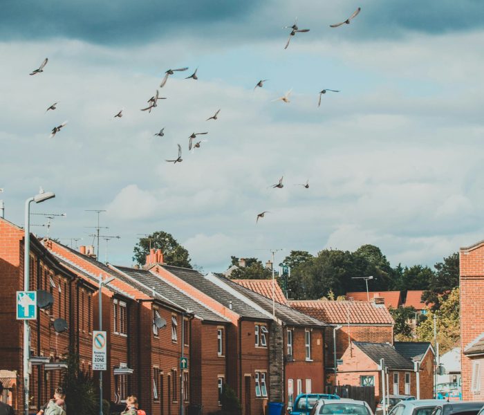 super-straho-rOC610b2NSo-unsplash